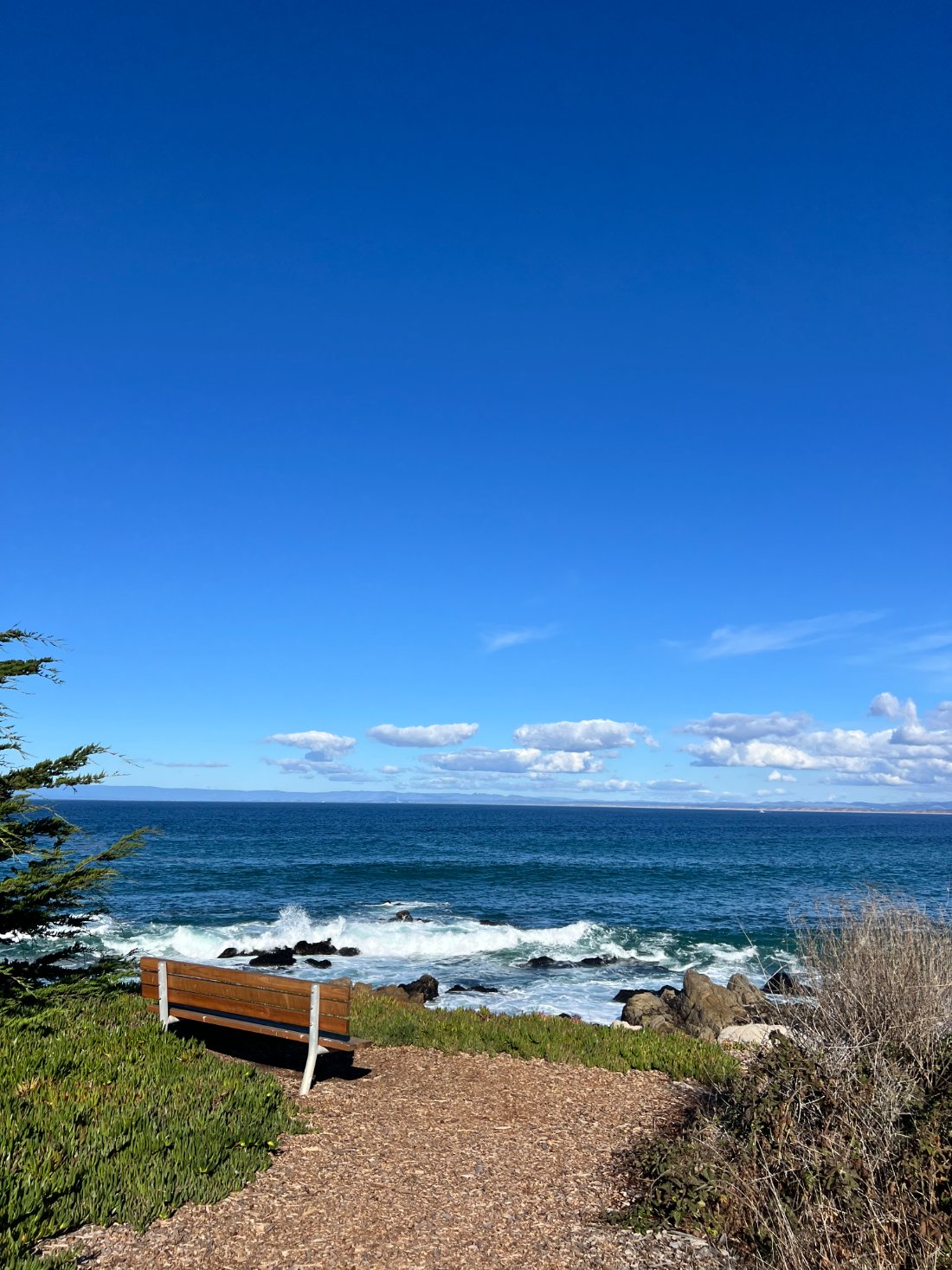 An empty bench facing the surf, Pacific Grove