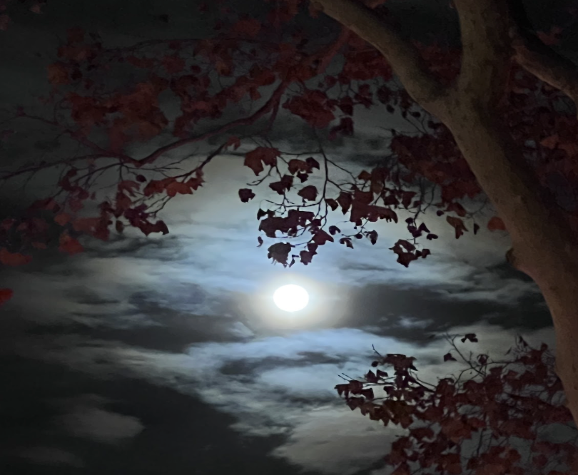 The moon in a darkening sky
